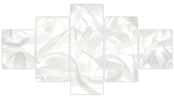 Obraz - Płatki (125x70 cm)