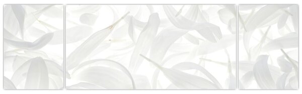 Obraz - Płatki (170x50 cm)