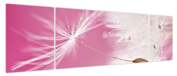 Obraz - Makro kwiat (170x50 cm)