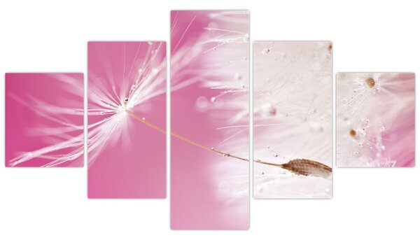 Obraz - Makro kwiat (125x70 cm)