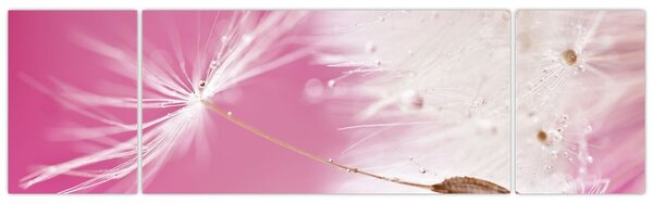Obraz - Makro kwiat (170x50 cm)