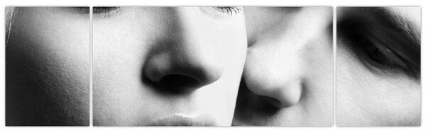 Obraz - Para (170x50 cm)