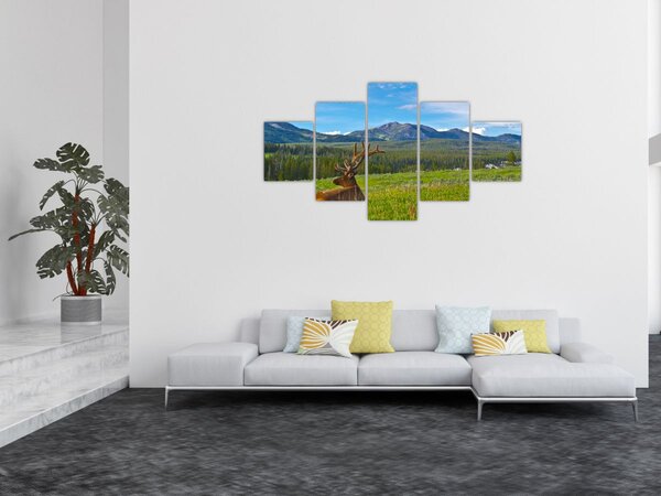 Obraz - Jeleń na łące (125x70 cm)