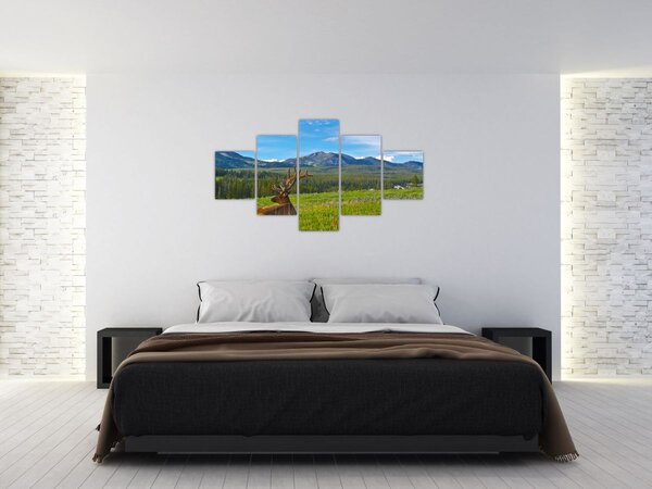 Obraz - Jeleń na łące (125x70 cm)