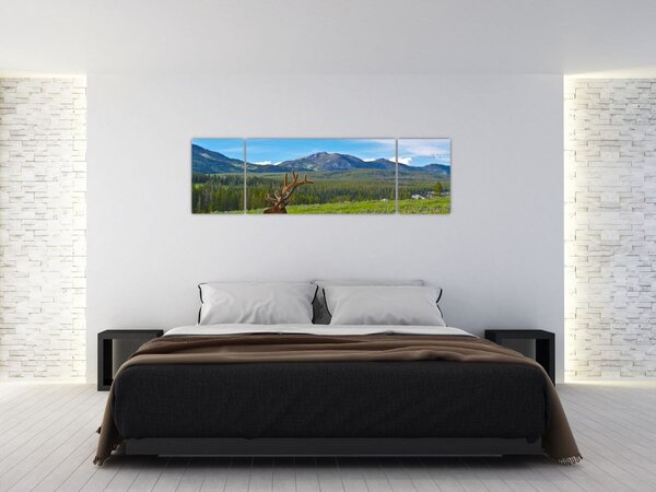 Obraz - Jeleń na łące (170x50 cm)