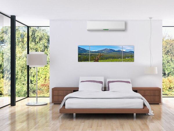 Obraz - Jeleń na łące (170x50 cm)