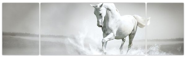 Obraz - Biały koń (170x50 cm)