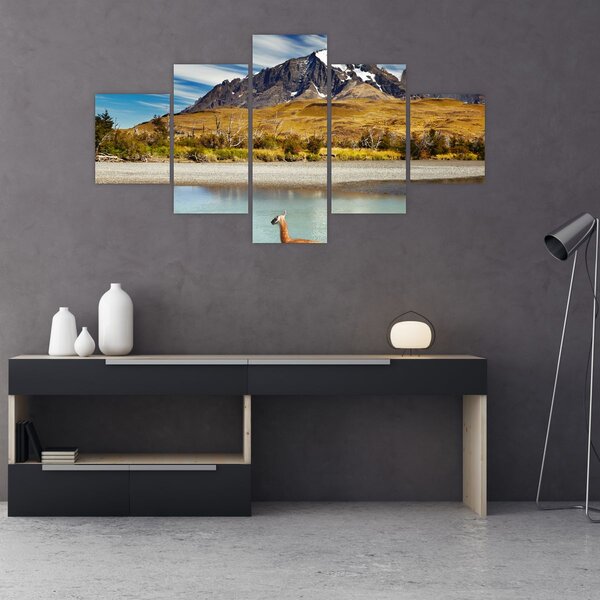 Obraz - Park Narodowy Torres del Paine (125x70 cm)