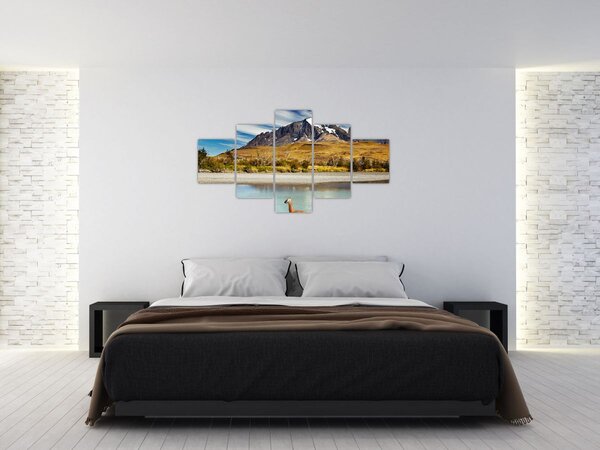 Obraz - Park Narodowy Torres del Paine (125x70 cm)