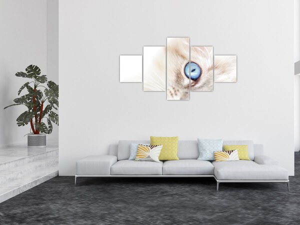 Obraz - Kotek (125x70 cm)