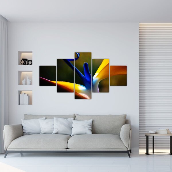 Obraz - Egzotyczny kwiat (125x70 cm)