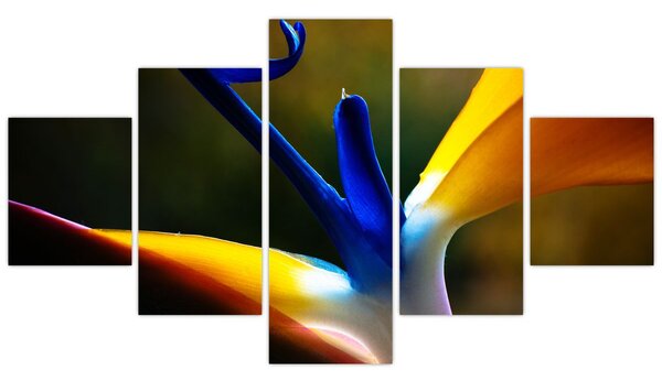 Obraz - Egzotyczny kwiat (125x70 cm)