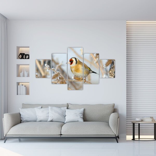 Obraz - Szczygieł (125x70 cm)