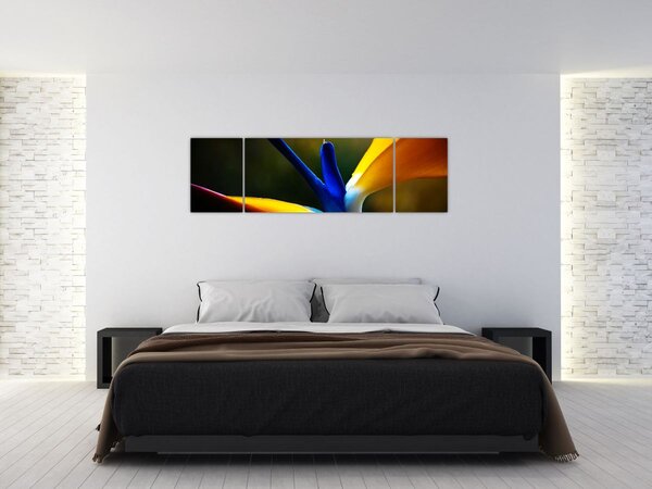 Obraz - Egzotyczny kwiat (170x50 cm)