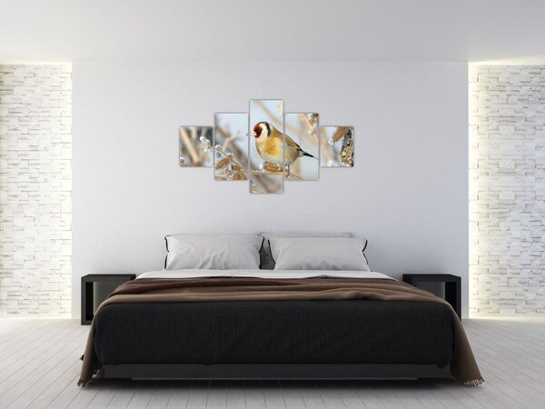 Obraz - Szczygieł (125x70 cm)