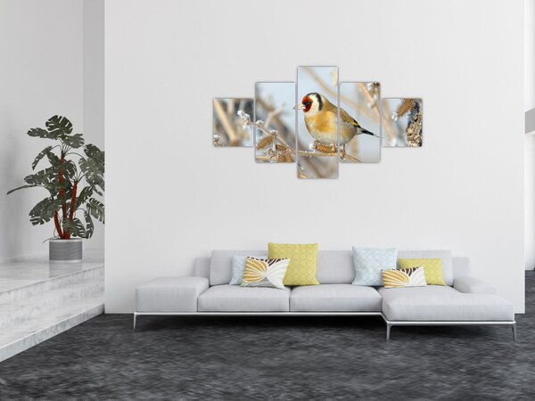 Obraz - Szczygieł (125x70 cm)