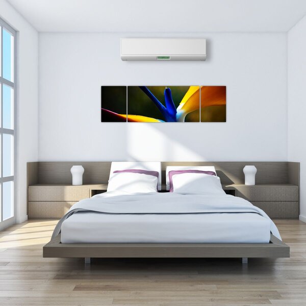 Obraz - Egzotyczny kwiat (170x50 cm)