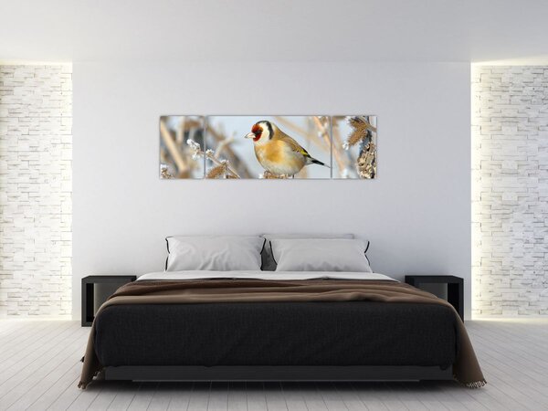 Obraz - Szczygieł (170x50 cm)