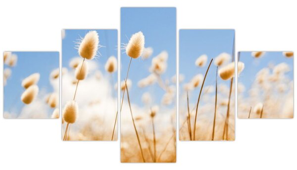 Obraz - Złote pole (125x70 cm)
