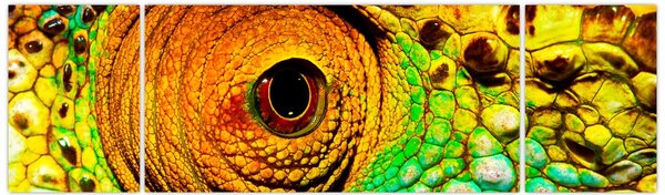 Obraz - Kameleon (170x50 cm)