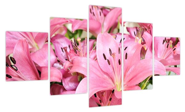 Obraz - Różowe lilie (125x70 cm)