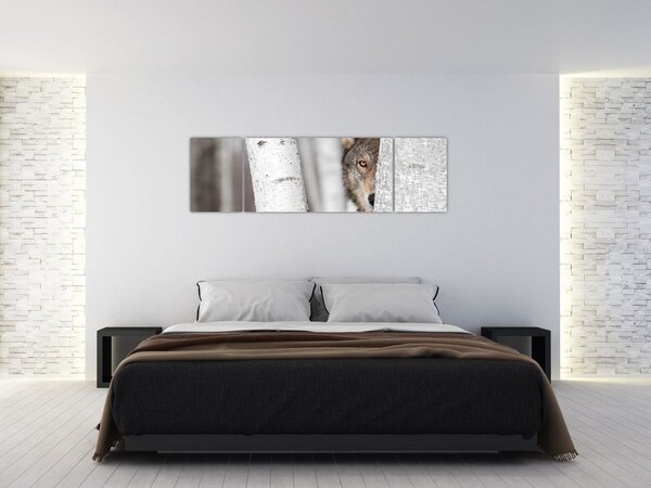 Obraz - Wilk (170x50 cm)