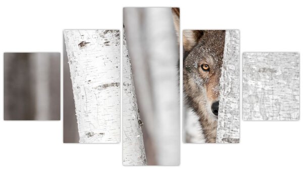 Obraz - Wilk (125x70 cm)