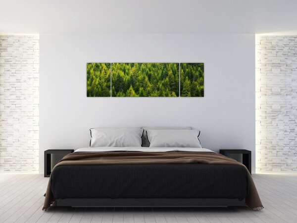 Obraz - Gęsty las (170x50 cm)