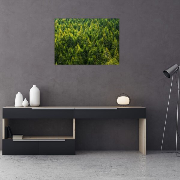 Obraz - Gęsty las (70x50 cm)