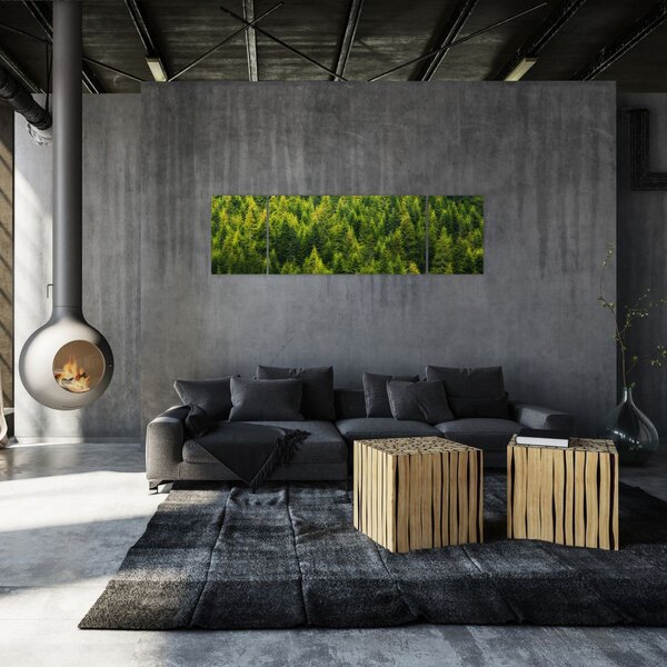 Obraz - Gęsty las (170x50 cm)