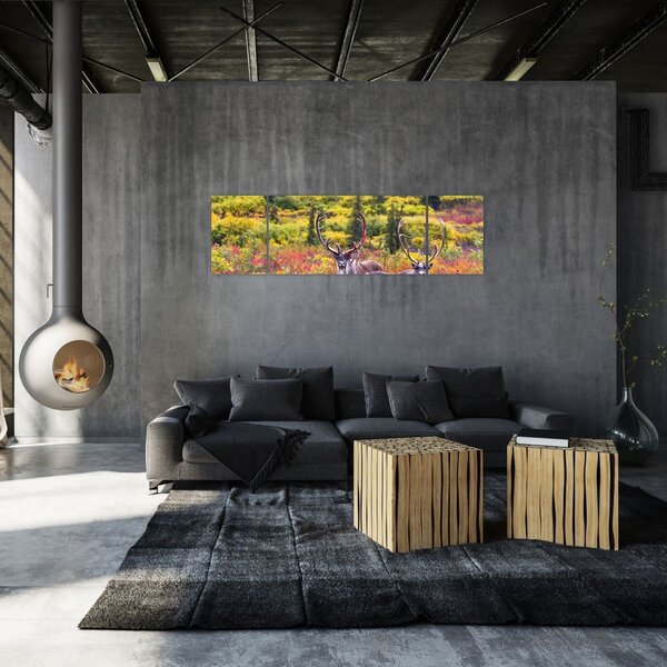 Obraz - Renifer tundrowy (170x50 cm)