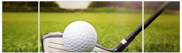 Obraz - Golf (170x50 cm)
