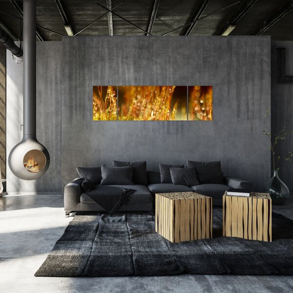 Obraz - Szczegół rosy (170x50 cm)