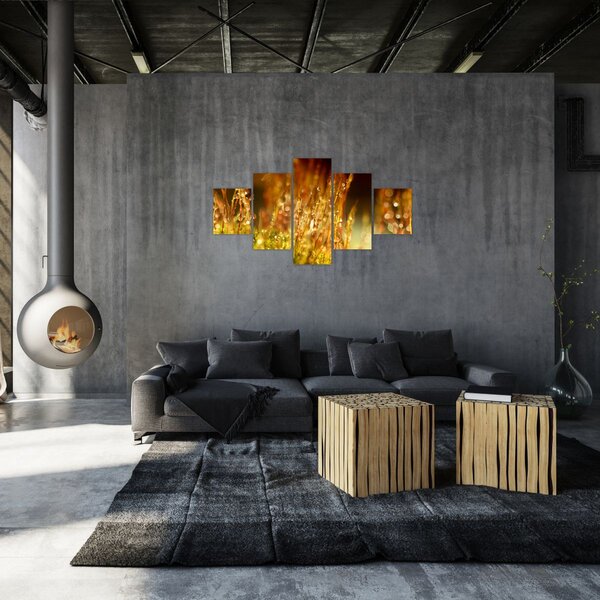 Obraz - Szczegół rosy (125x70 cm)