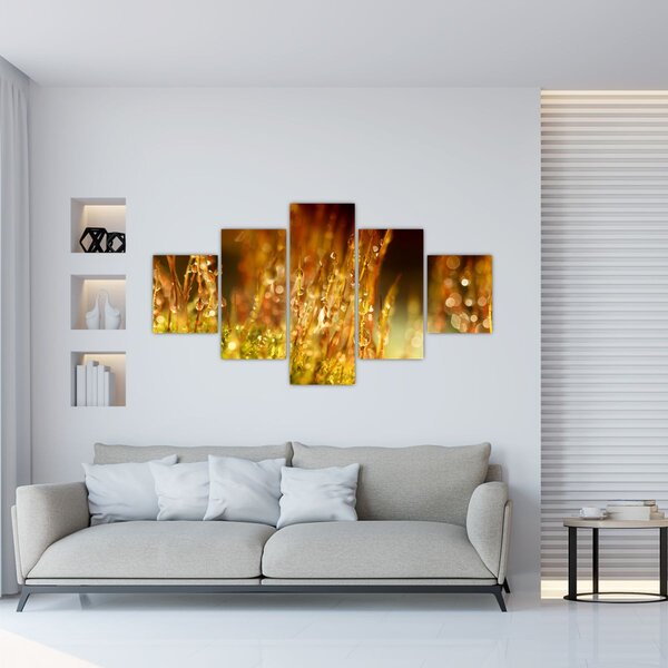 Obraz - Szczegół rosy (125x70 cm)