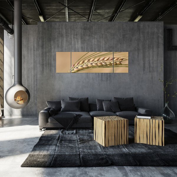 Obraz - Pszenica (170x50 cm)