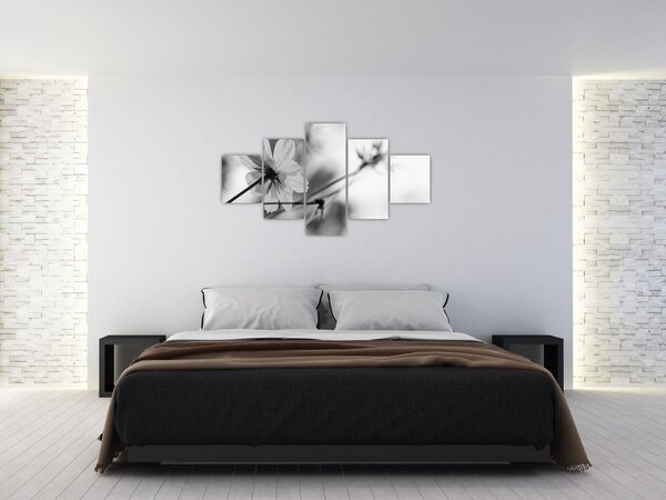 Obraz - Czarno - białe kwiaty (125x70 cm)