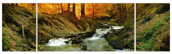Obraz - Las (170x50 cm)