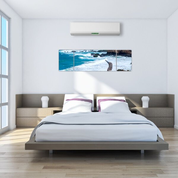 Obraz - głuptak niebieskonogi (170x50 cm)