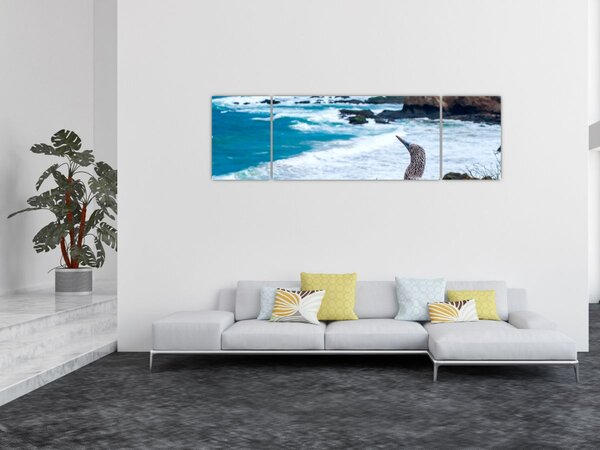 Obraz - głuptak niebieskonogi (170x50 cm)