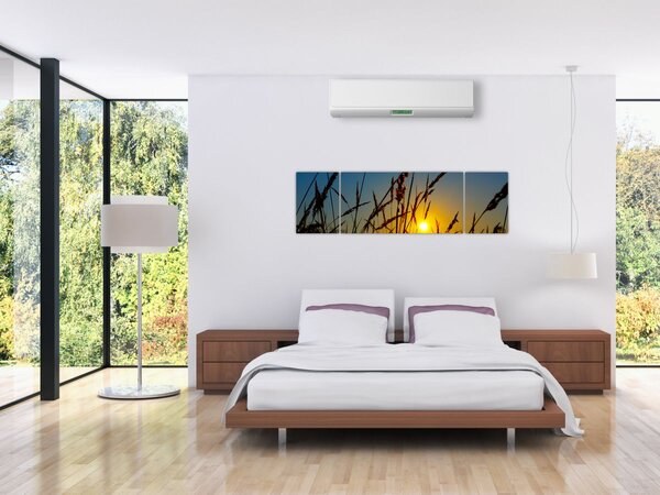 Obraz - Zachód słońca na łące (170x50 cm)