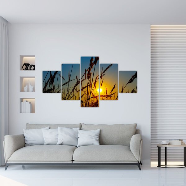Obraz - Zachód słońca na łące (125x70 cm)
