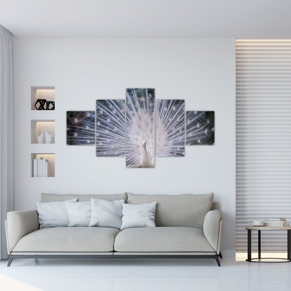 Obraz - Biały paw (125x70 cm)