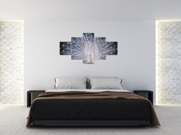 Obraz - Biały paw (125x70 cm)