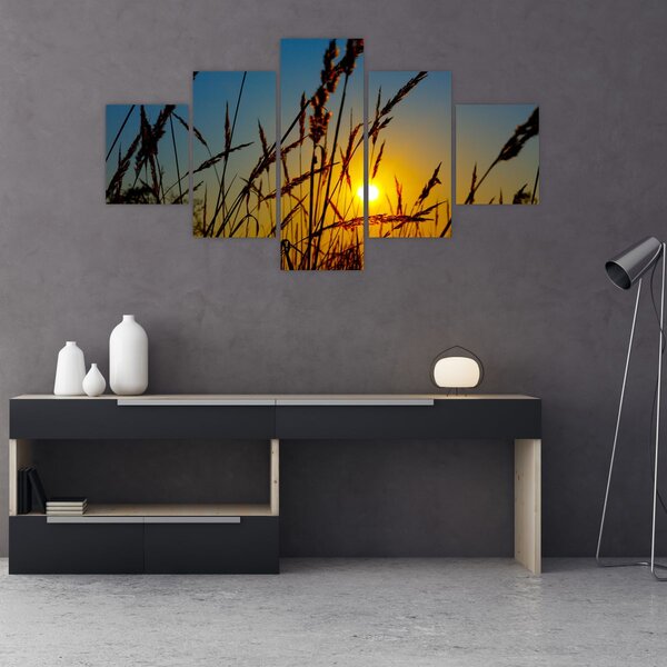 Obraz - Zachód słońca na łące (125x70 cm)