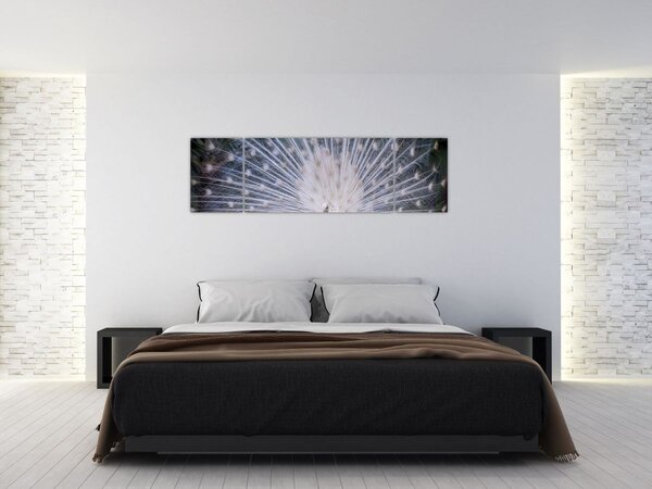 Obraz - Biały paw (170x50 cm)