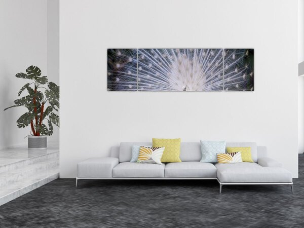 Obraz - Biały paw (170x50 cm)