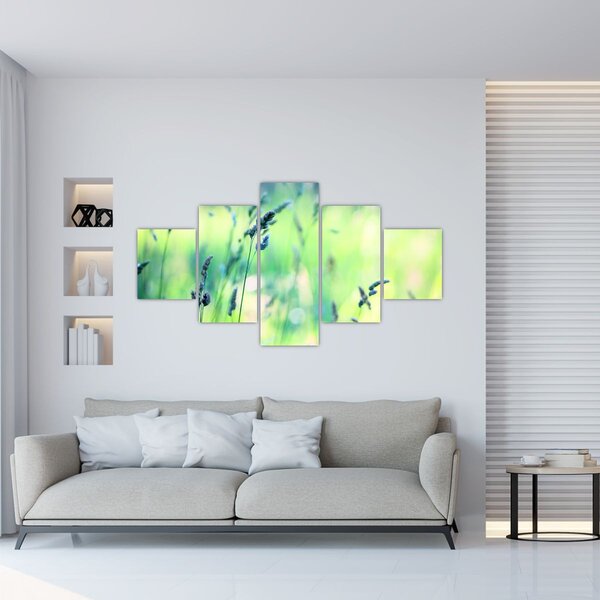 Obraz - Szczegół łąki (125x70 cm)