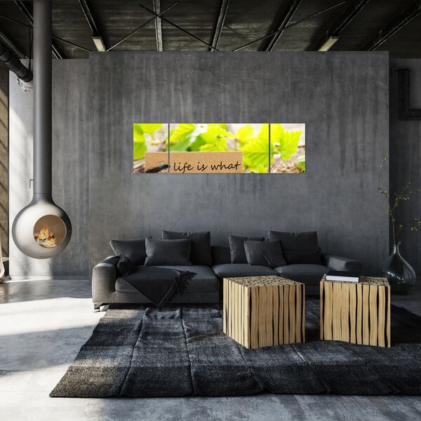 Obraz - Cytat (170x50 cm)