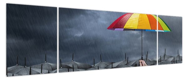 Obraz - Parasole (170x50 cm)